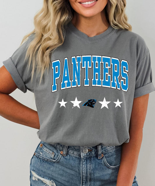 Panthers DTF Transfer Only