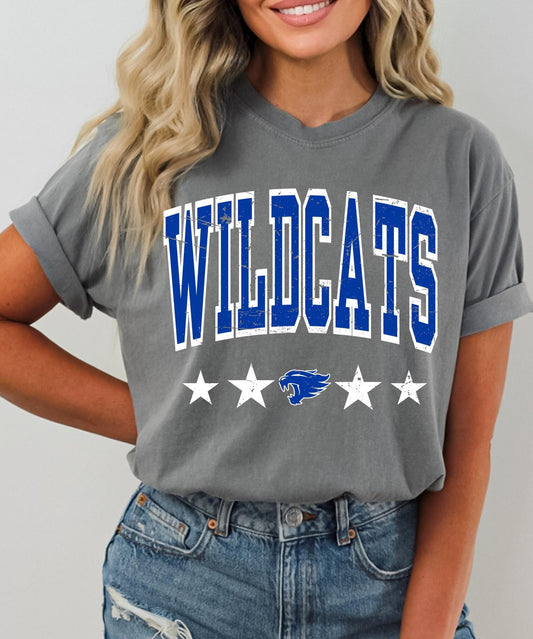 Vintage Wildcats DTF Transfer Only