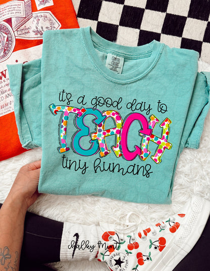 Its A Good Day To Teach Tiny Humans Completed Tee