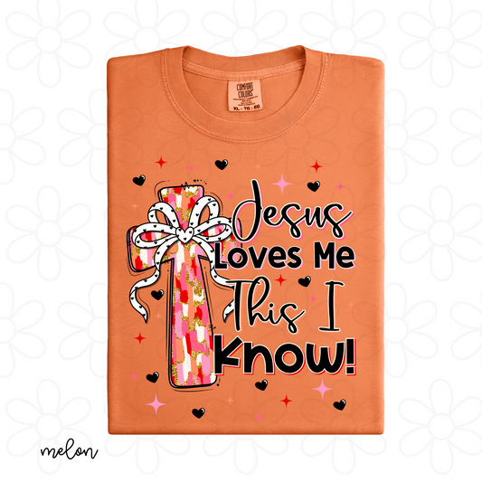 Jesus Loves Me This I Know Brushstroke Cross Kids Completed Tee